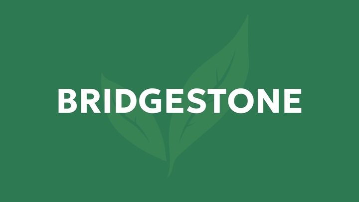Logo for Bridgestone Life Group