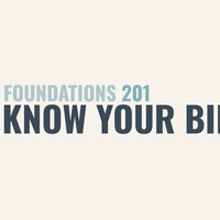 Logo for 201 Know Your Bible
