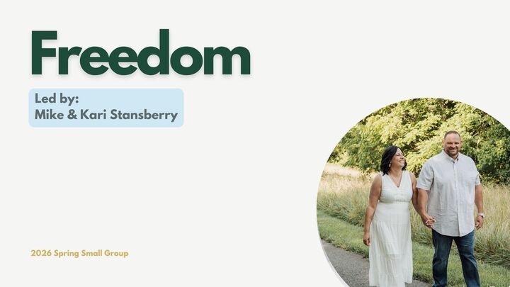 Logo for Freedom | The Stansberrys