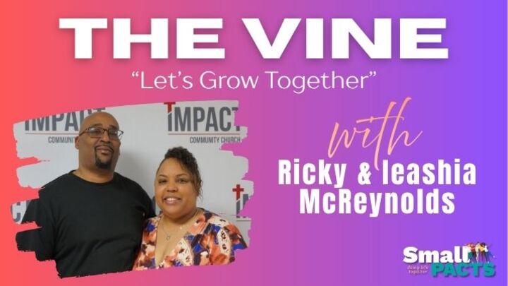 Logo for The Vine