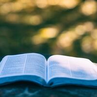 Logo for Bible Recap w/ Karen