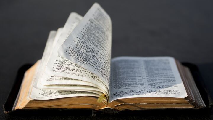 Logo for Bible Basics