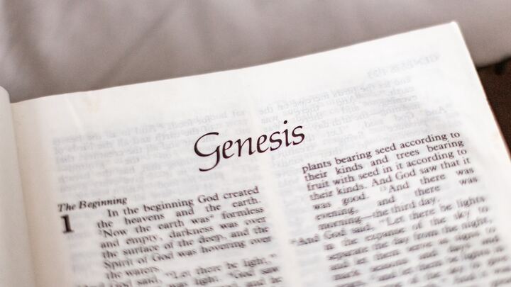 Logo for Book of Genesis