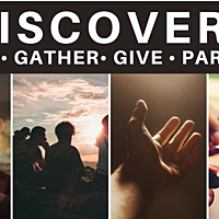 Logo for Discovery — I'm Interested in the next class!