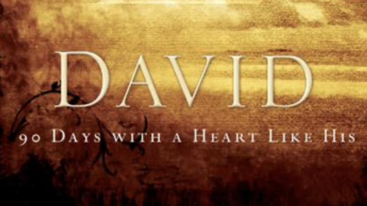 Logo for David 90 Days With a Heart Like His | Niki Roccaforte-Hewlett