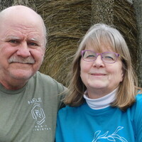 Logo for Study - New to the Bible