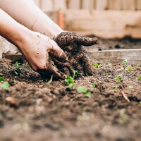 Logo for Missional Group: Fertile Groundworks