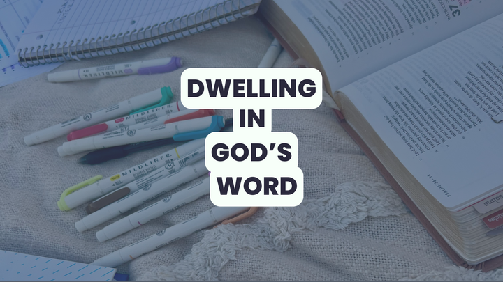 Logo for Sparks | Toilolo | Coed