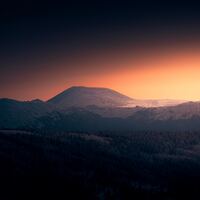 Logo for New to Faith