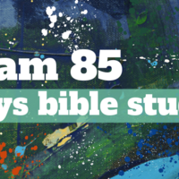 Logo for Tomball | Team 85 | 5th-8th Grade Boys Bible Study (2025-2026)