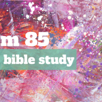 Logo for Tomball | Team 85 | 5th-6th Grade Girls Bible Study (2025-2026)