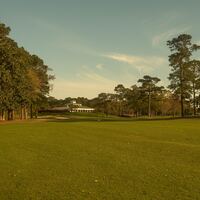 Logo for Treffer Life Group