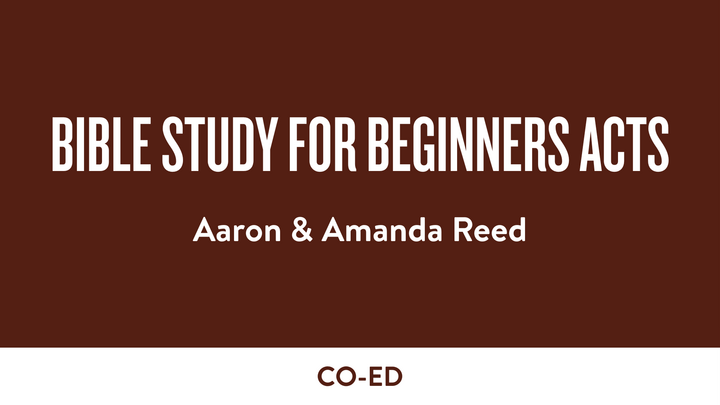 Logo for Bible Study for Beginners Acts