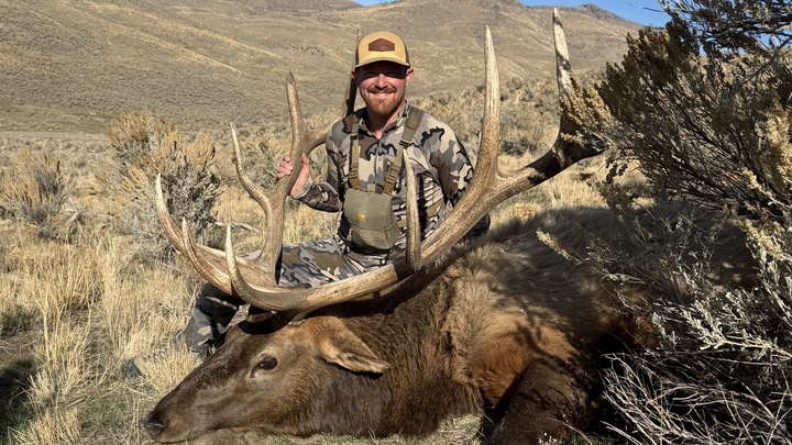 Logo for Borowski Community Group