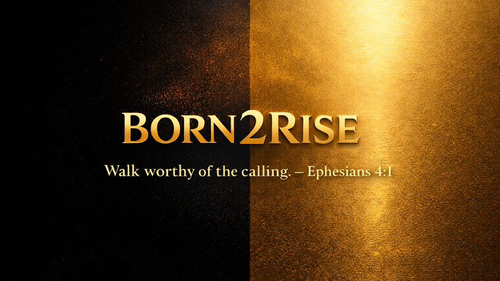 Logo for BORN2RISE