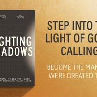 Logo for Fighting Shadows