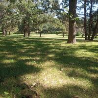 Logo for Baranco Group