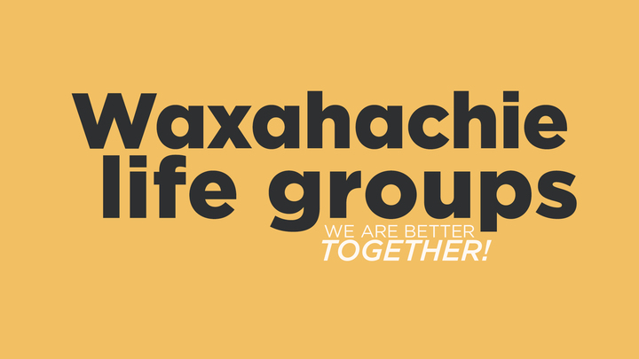 Logo for White Life Group