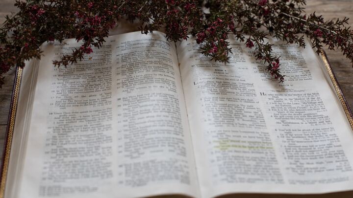 Logo for Deborah Miller's Womens Group