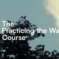 Logo for Women | Book Study | Practicing the Way | Jessie