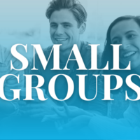 Logo for Small Group Barlett | Manheim