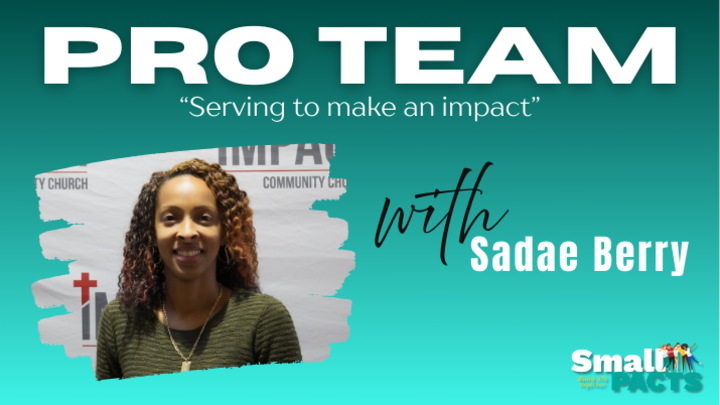 Logo for PRO Team