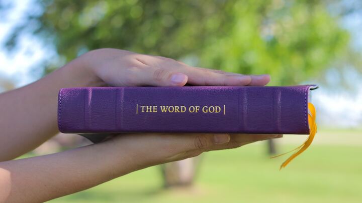 Logo for In the Beginning God...