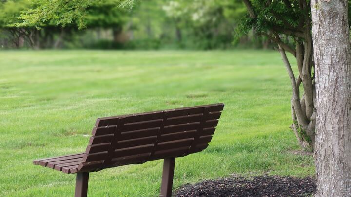 Logo for Grief & Loss Support Group