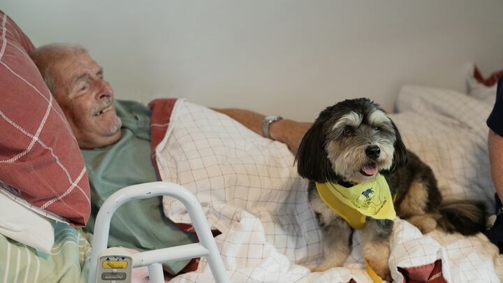 Logo for Hospital Volunteers Engage Team