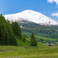 Logo for An Invitation to High Places: Habakkuk 3:19