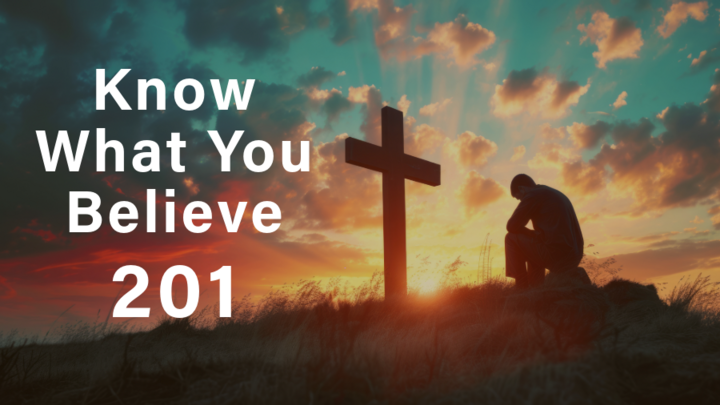 Logo for Sandhills University: Know What You Believe 201 (Core Class)