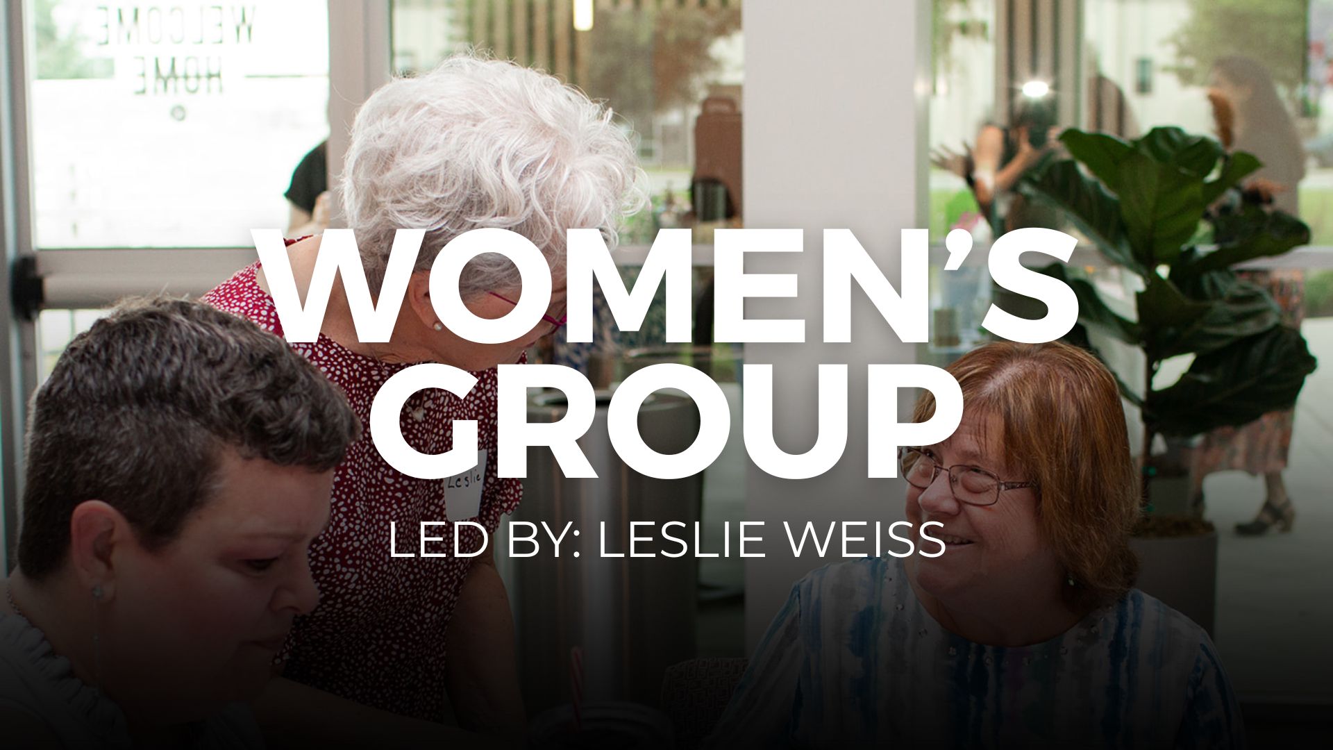 Mueller: LifeWomen | The Gospel of John