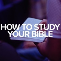Logo for How To Study Your Bible