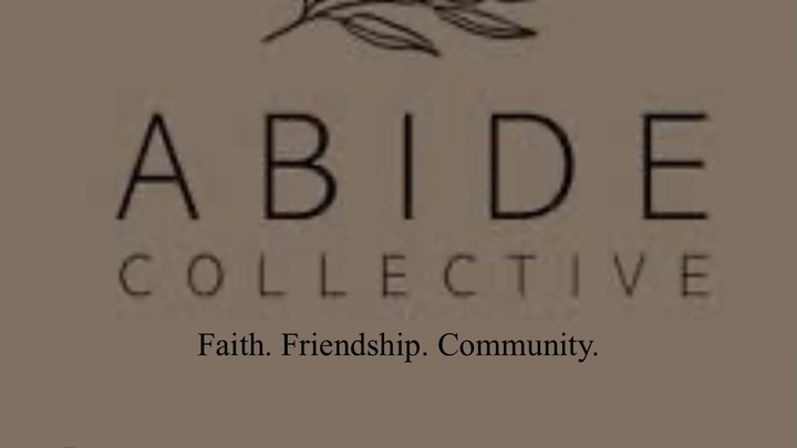 Logo for ABIDE COLLECTIVE