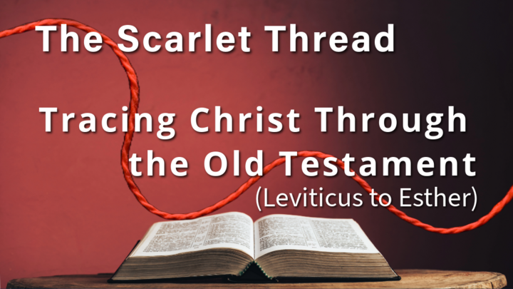 Logo for Sandhills University: The Scarlet Thread - Tracing Christ Through the Old Testament - Leviticus to Esther (Core Class)