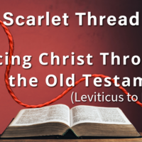 Logo for Sandhills University: The Scarlet Thread - Tracing Christ Through the Old Testament - Leviticus to Esther (Core Class)