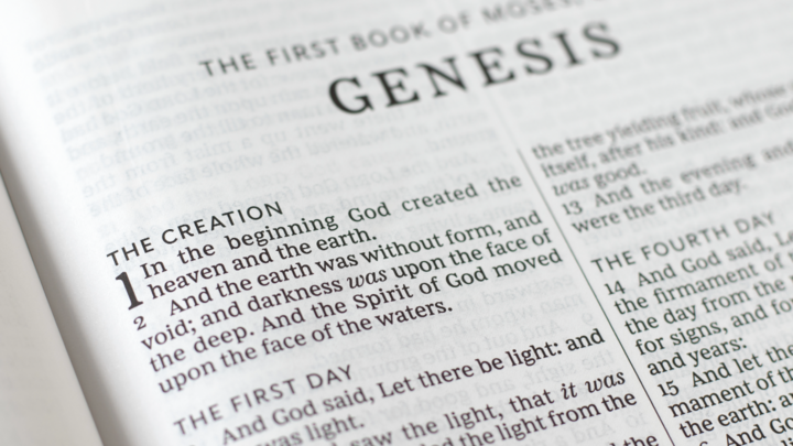 Logo for Jesus in Genesis: Every Story Whispers His Name
