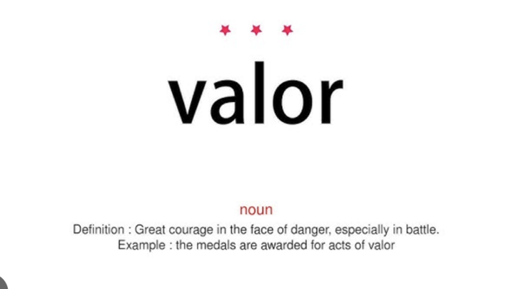Logo for Valor Rising