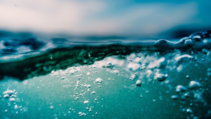 Logo for New Believers 101