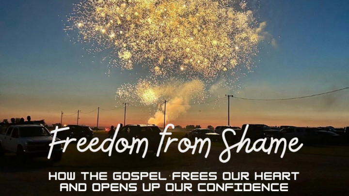 Logo for From Shame to Freedom