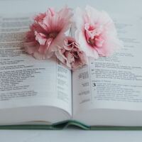 Logo for Women in the Word - Monday PM