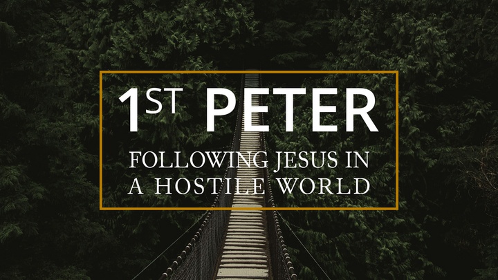 Logo for LifeGroup | DeSantis - 1 Peter | CO-ED