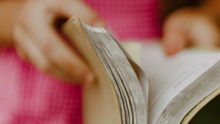 Logo for Women in the Word (AM)