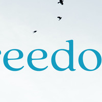 Logo for Mens Freedom Group (Garrett, Sunday afternoons)