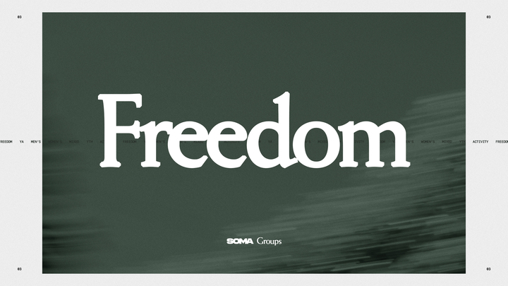 Logo for Freedom for Young Men