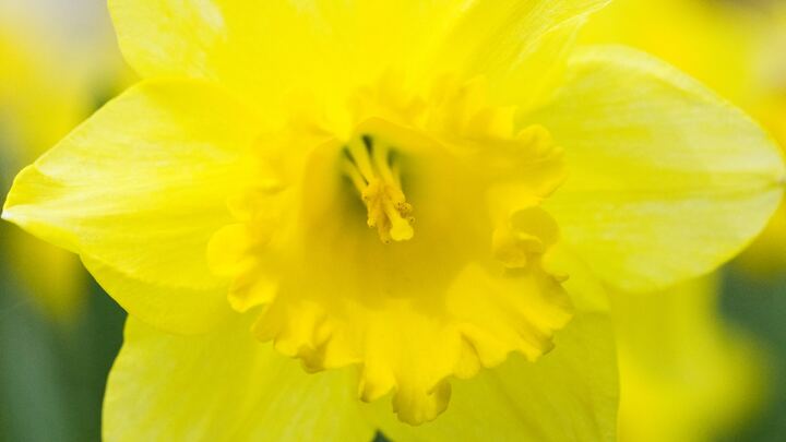 Logo for Women | Married & Singles | 18+ | Neighborhood Bible Study | Waterford Lakes | Wiedle