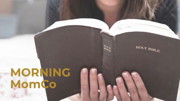 Logo for Morning MomCo