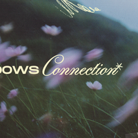Logo for Widows Connection Journey