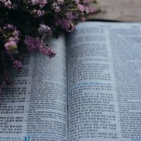 Logo for Ladies Bible Prayer Circle