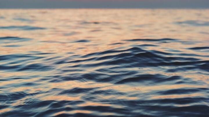 Logo for Randy Smith (50-60) Room 203